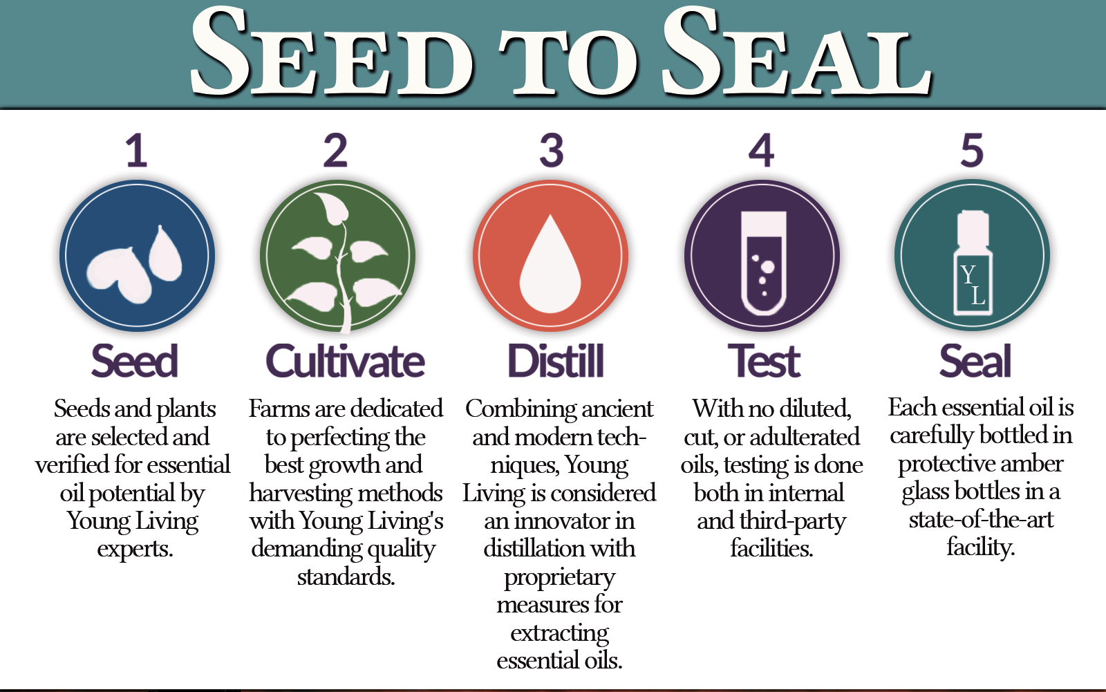 Seed-Seal-public-01